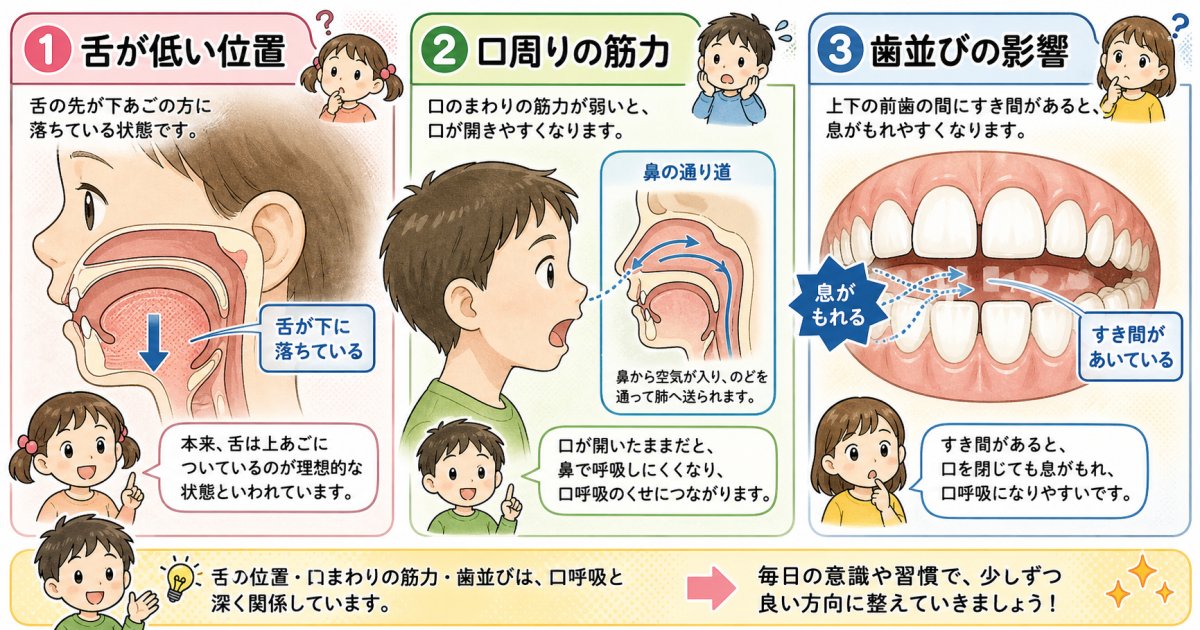 子どもがサ行を言いにくい主な原因｜舌の癖・筋力・歯並びの関連性